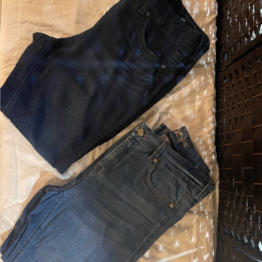 Melissa McCarthy jeans. Very nice pants